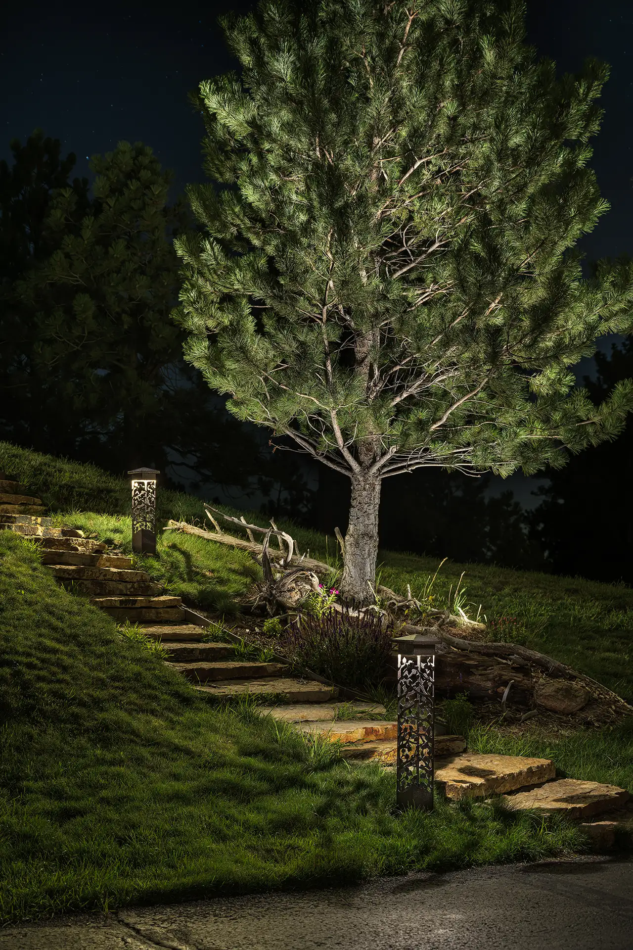 Bear Dance image 6 walkway path with bollard lights and tree Lighthouse Outdoor Lighting and Audio Denver CO Colorado