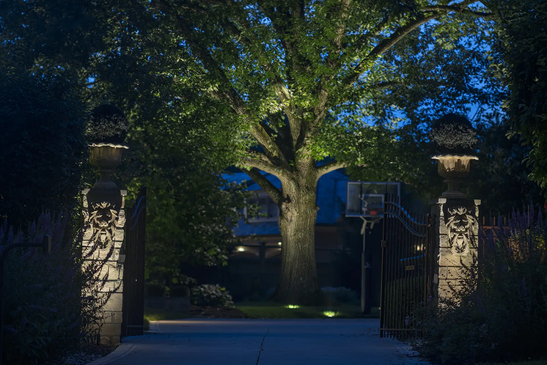 Fisher residence image 13 entry gate with dramatic tree lighting Lighthouse Outdoor Lighting and Audio Indianapolis IN Indiana