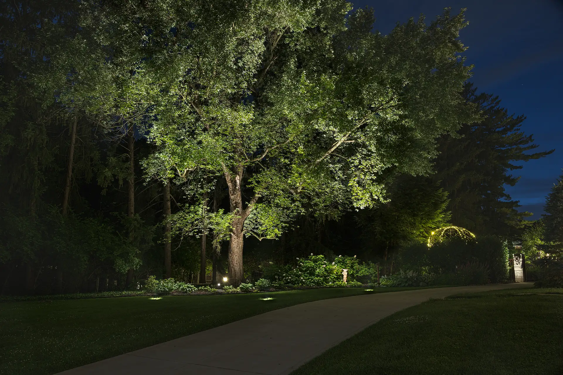 Fisher residence image 5 dramatic tree lights landscape Lighthouse Outdoor Lighting and Audio Indianapolis IN Indiana