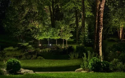 Illuminate Your Outdoor Spaces: Exploring the Wonders of Up-Lighting in Low Voltage Landscape Lighting
