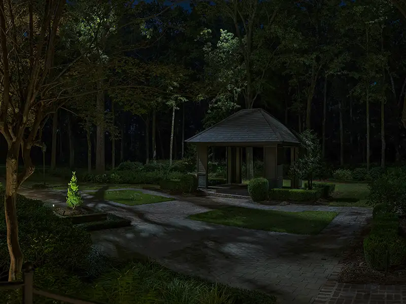 Unveiling the Beauty: Exploring the Differences Between Down Lighting and Moon Lighting in Landscape Lighting