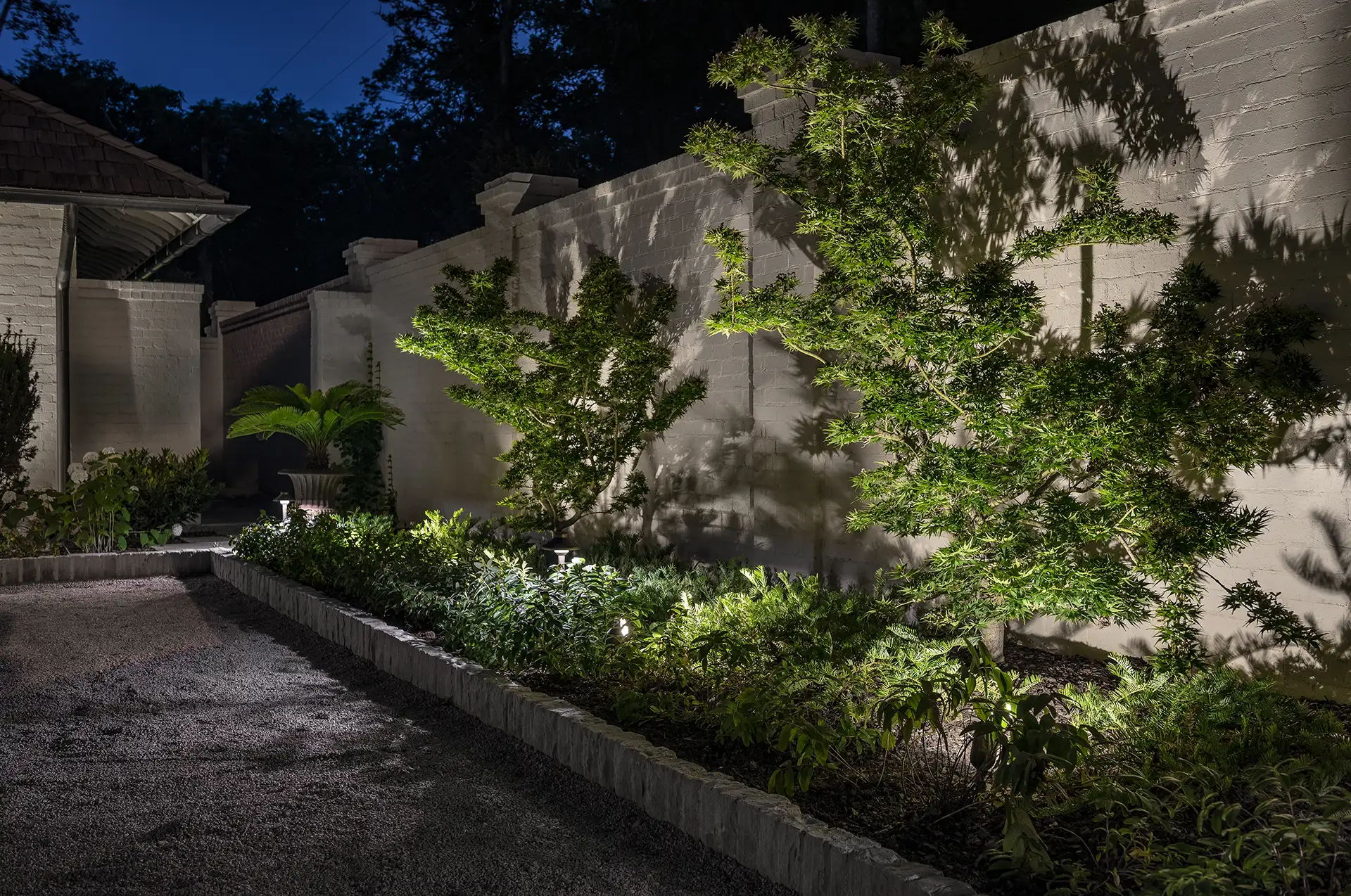Rains residence image 5 wall with Japanese maple and lights landscape Lighthouse Outdoor Lighting and Audio Nashville, TN