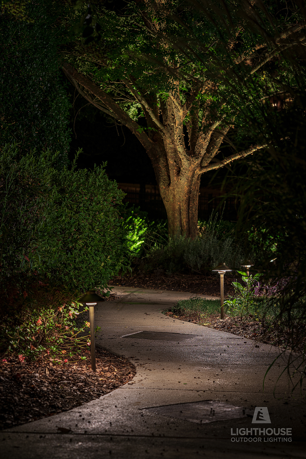 Pathway Lighting in Stagecoach, TX