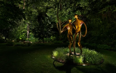 Feature-Focused Lighting