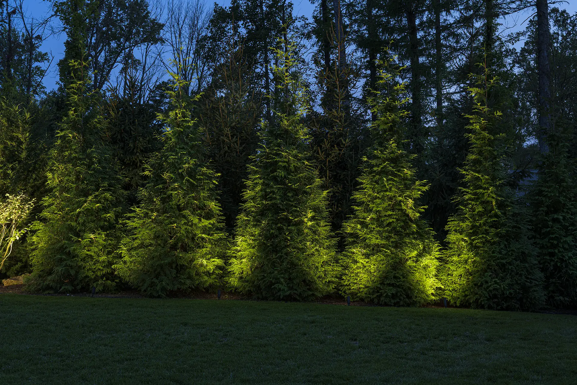 Blair residence image 15 tree landscape Lighthouse Outdoor Lighting and Audio Northern New Jersey