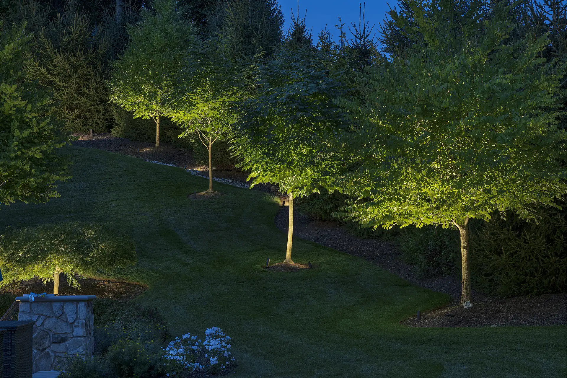 Blair residence image 14 tree landscape Lighthouse Outdoor Lighting and Audio Northern New Jersey