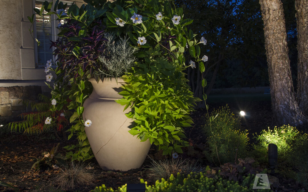 Lighting Art/Statuary in the Garden Space