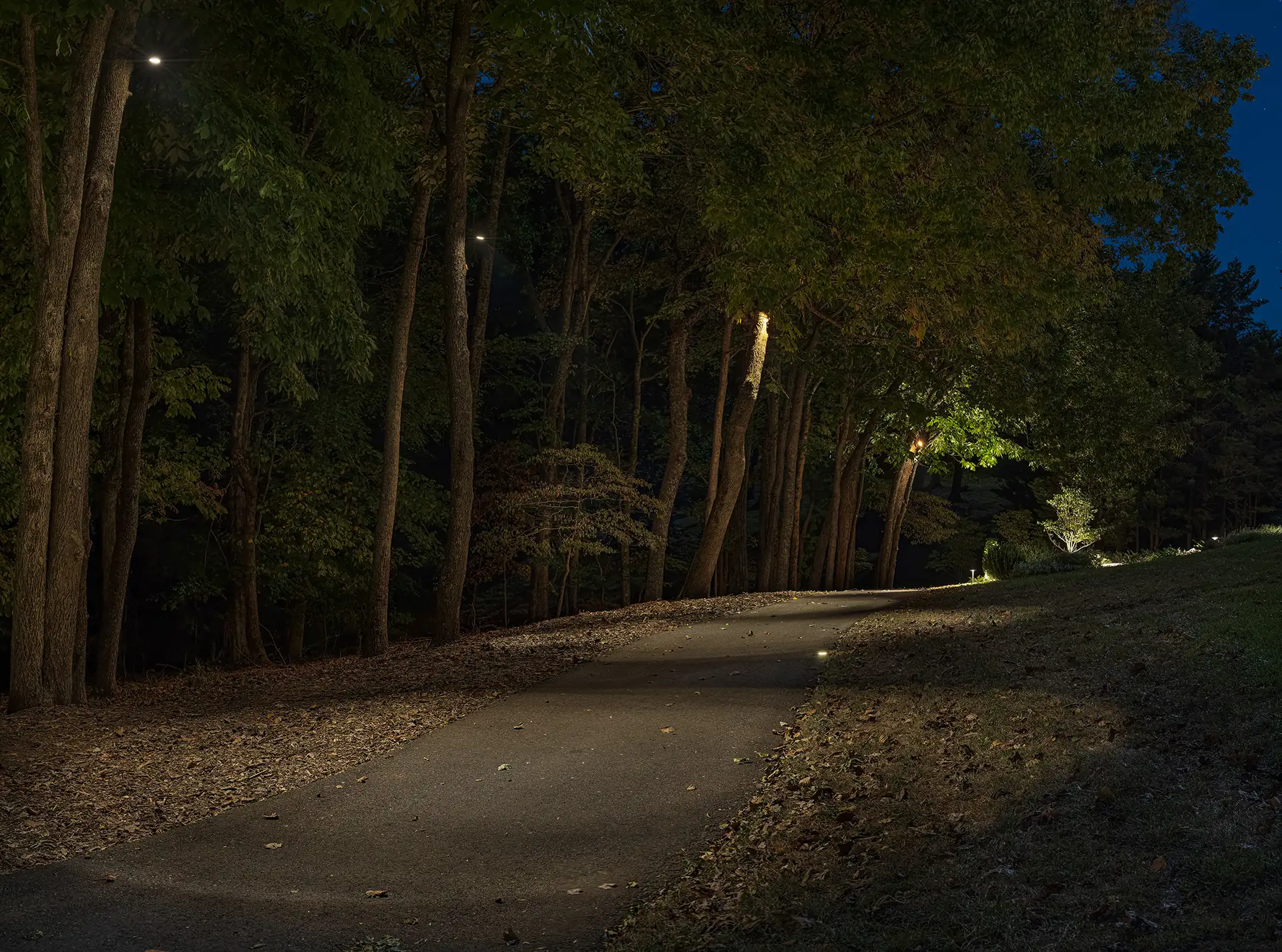 Killarney Rd image 2 trees landscape Lighthouse Outdoor Lighting and Audio Knoxville TN