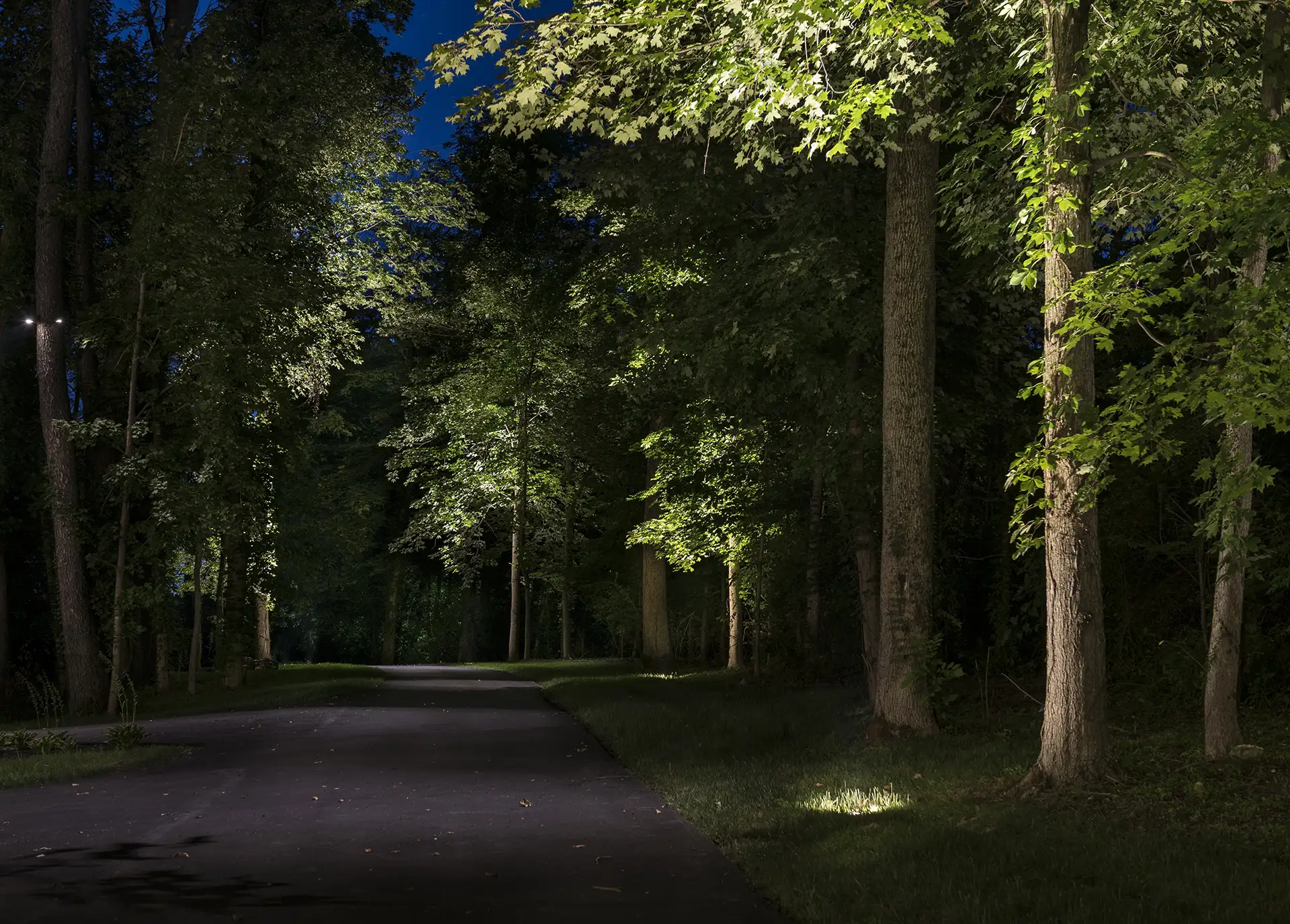 Kolisek Residence image 8 driveway trees down lights Lighthouse Outdoor Lighting and Audio Ohio Columbus Cincinnati Dayton