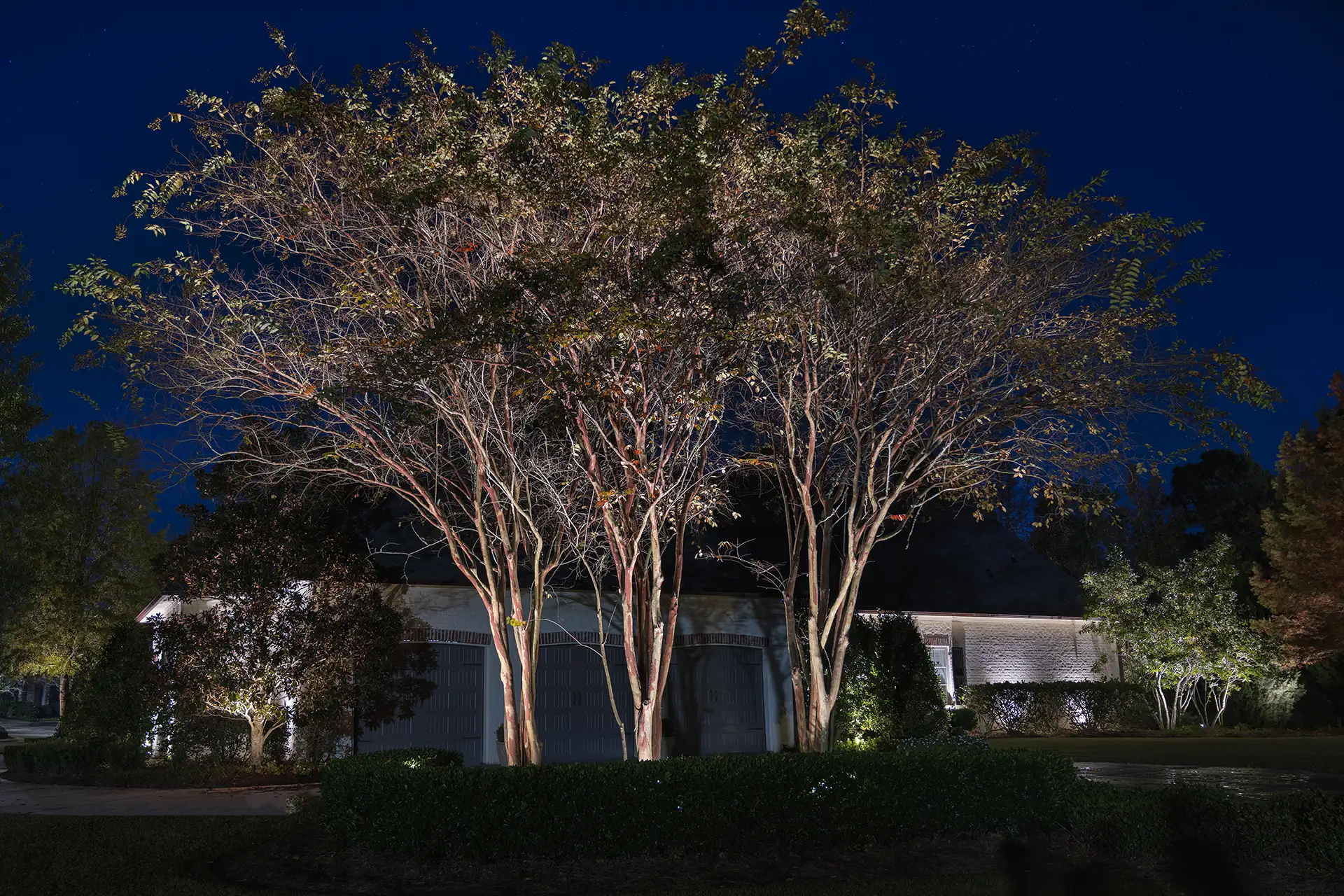 Rockwell Drive image 4 trees landscape Lighthouse Outdoor Lighting and Audio Jackson MS