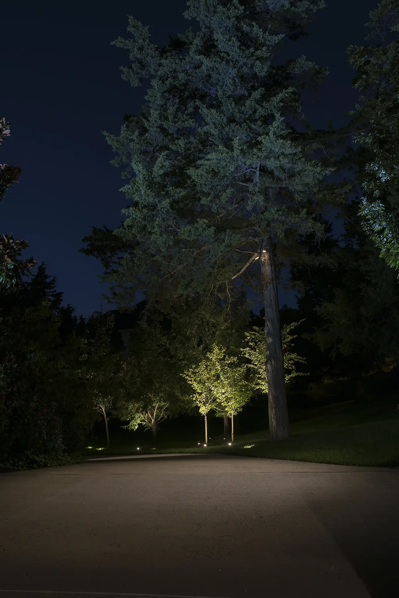 Suburb Stucco image 5 down lights trees driveway Lighthouse Outdoor Lighting and Audio central Missouri