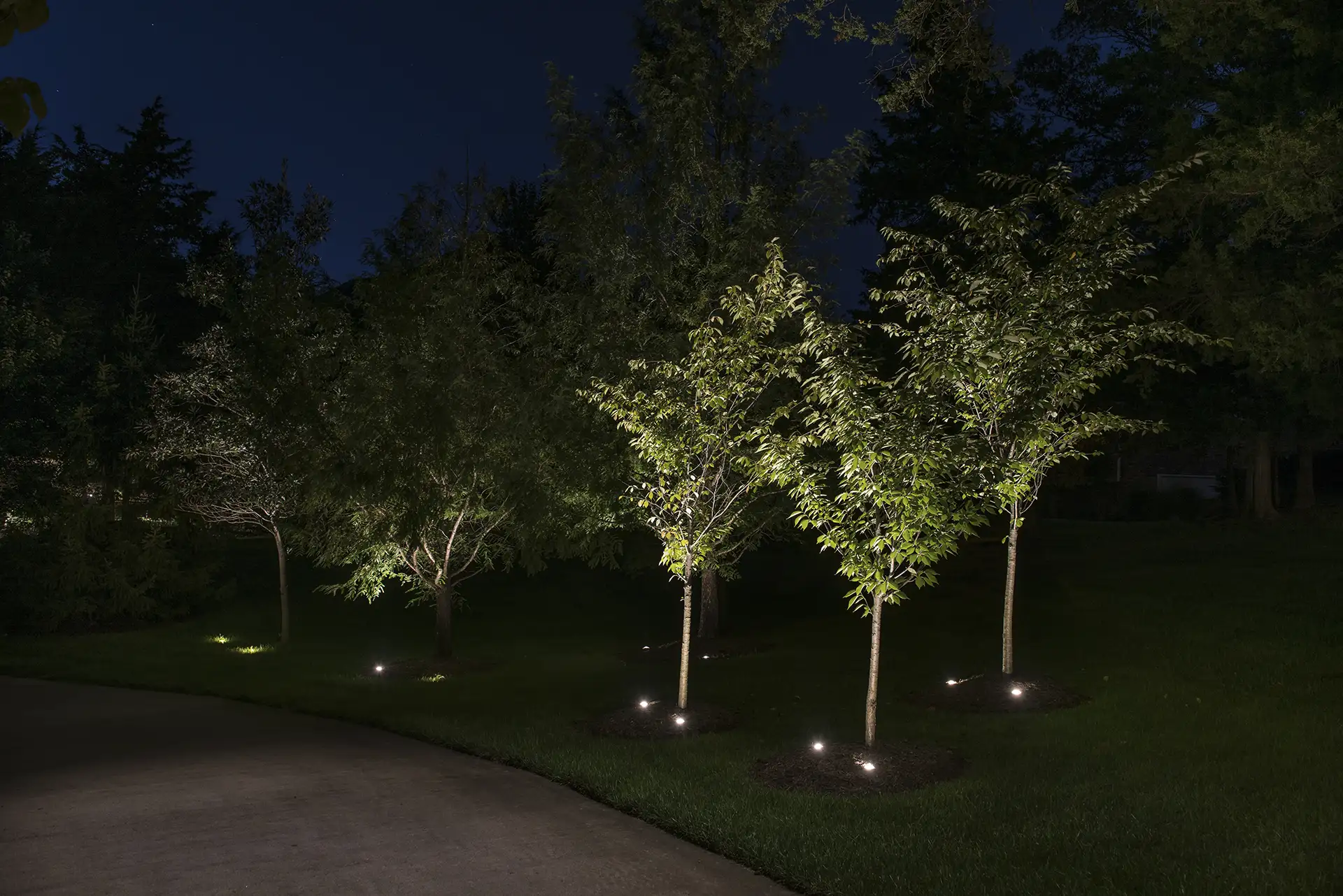 Suburb Stucco image 1 trees landscape Lighthouse Outdoor Lighting and Audio central Missouri