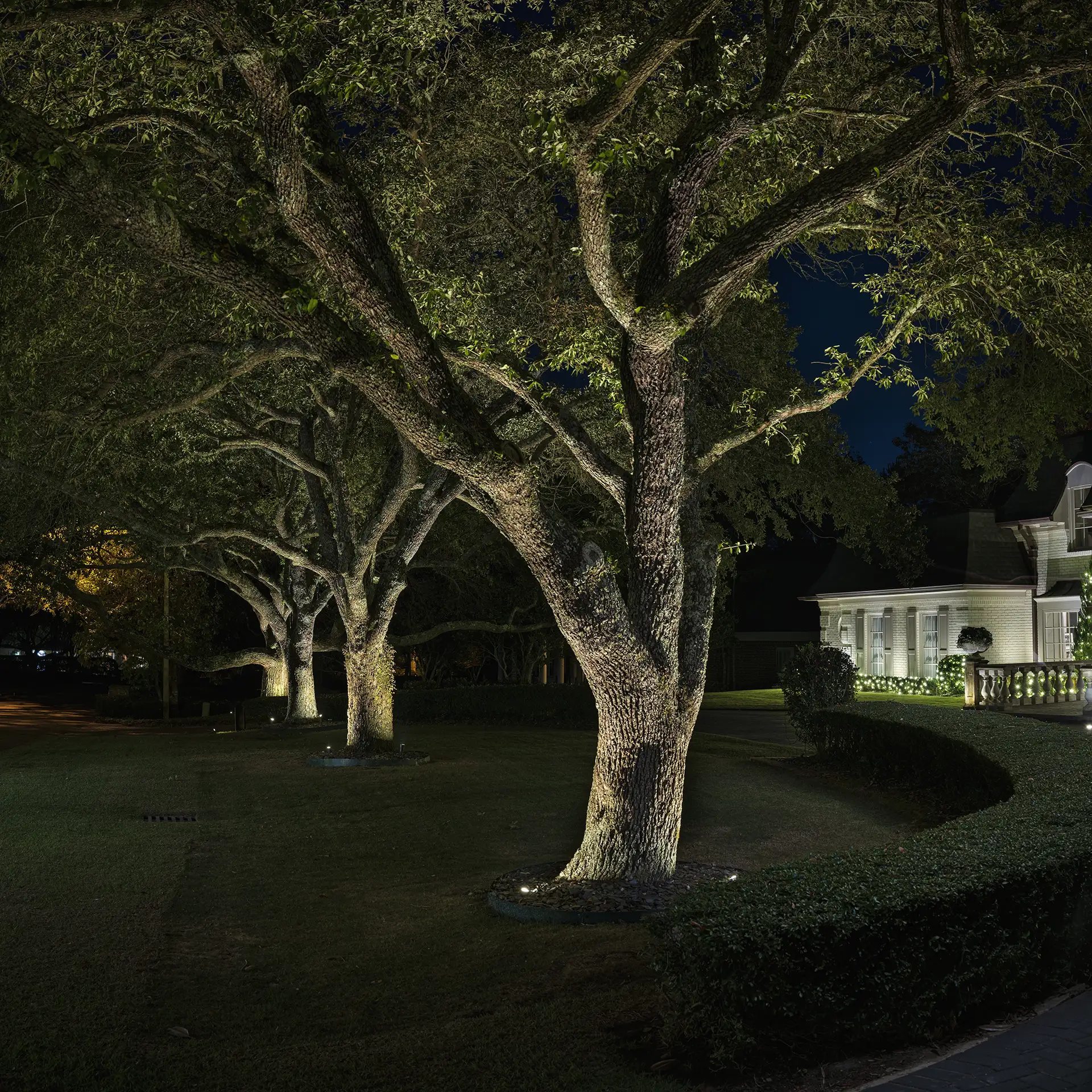 Winged Foot image 5 trees landscape Lighthouse Outdoor Lighting and Audio Jackson MS