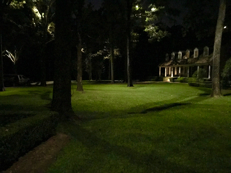 Example of Moonlighting - a Landscape Lighting Technique